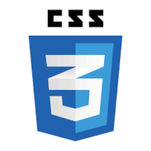 logo css 3